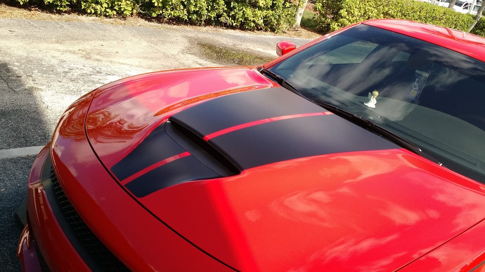 Custom vinyl graphics on custom vehicle by ATD Suncoast