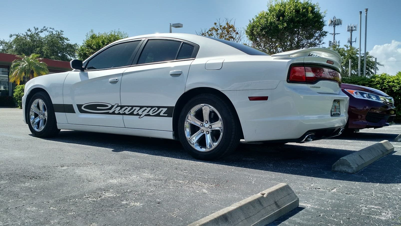Custom vinyl graphics on custom vehicle by ATD Suncoast