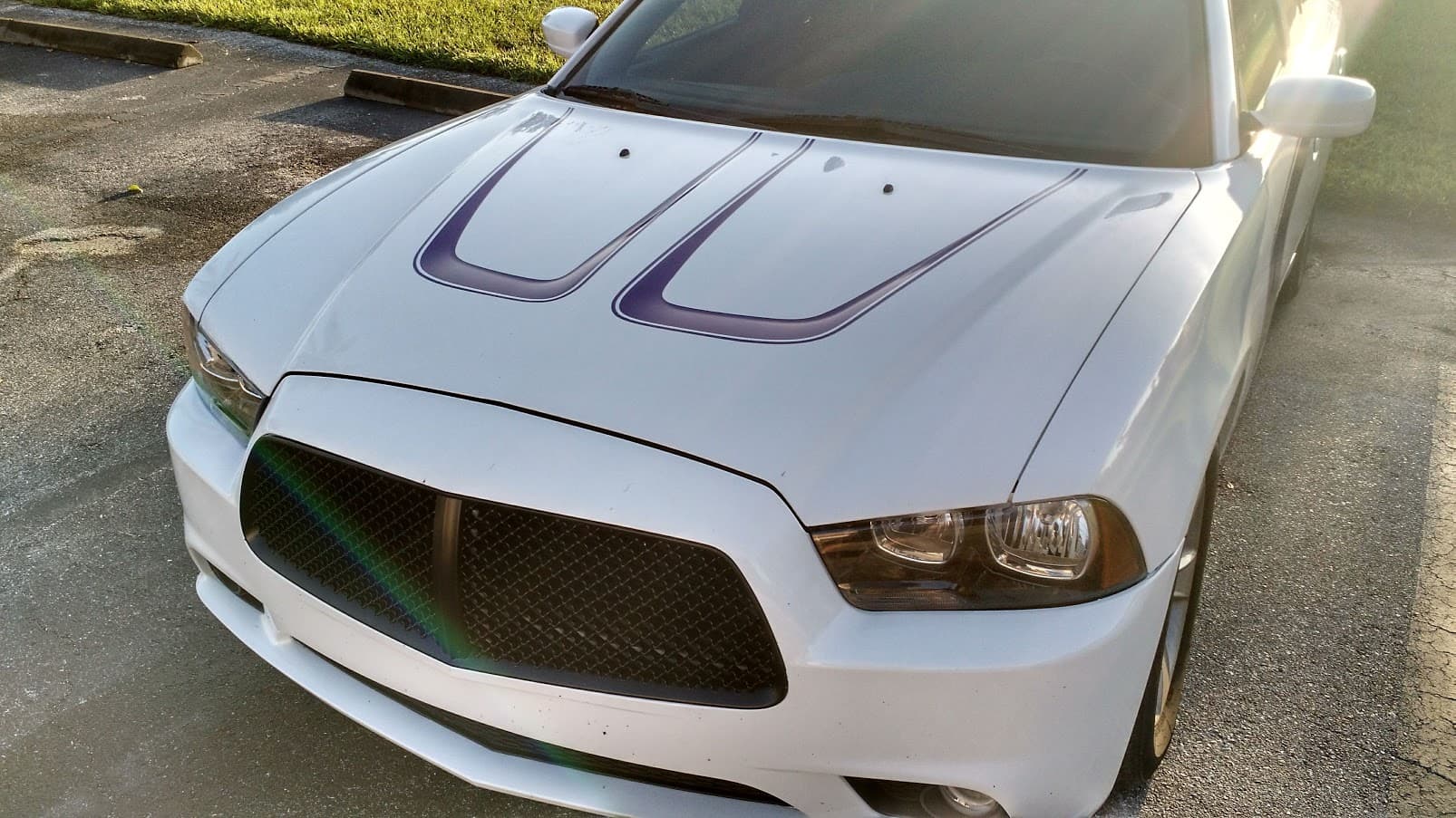 Custom vinyl graphics on custom vehicle by ATD Suncoast