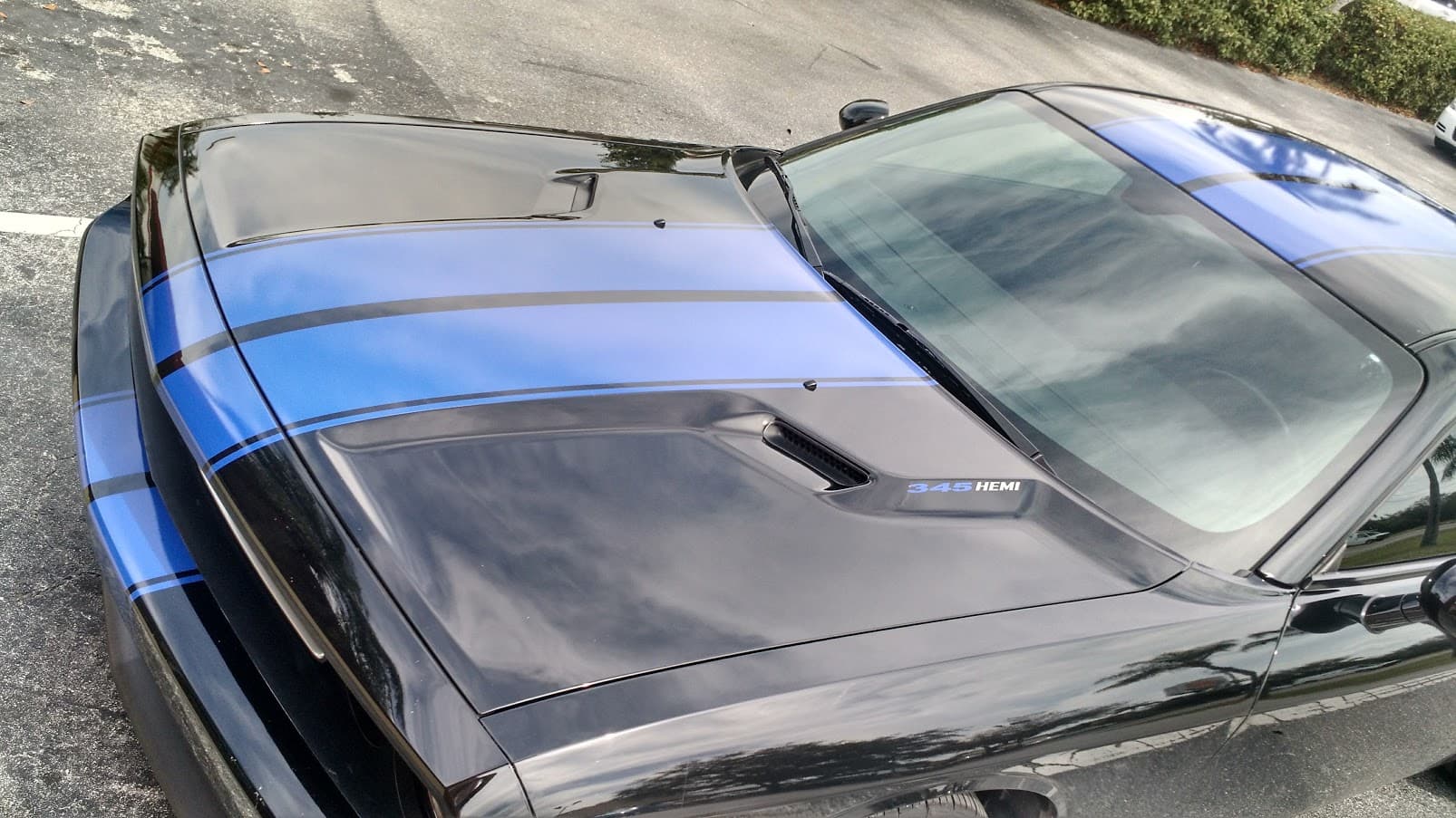 Custom vinyl graphics on custom vehicle by ATD Suncoast