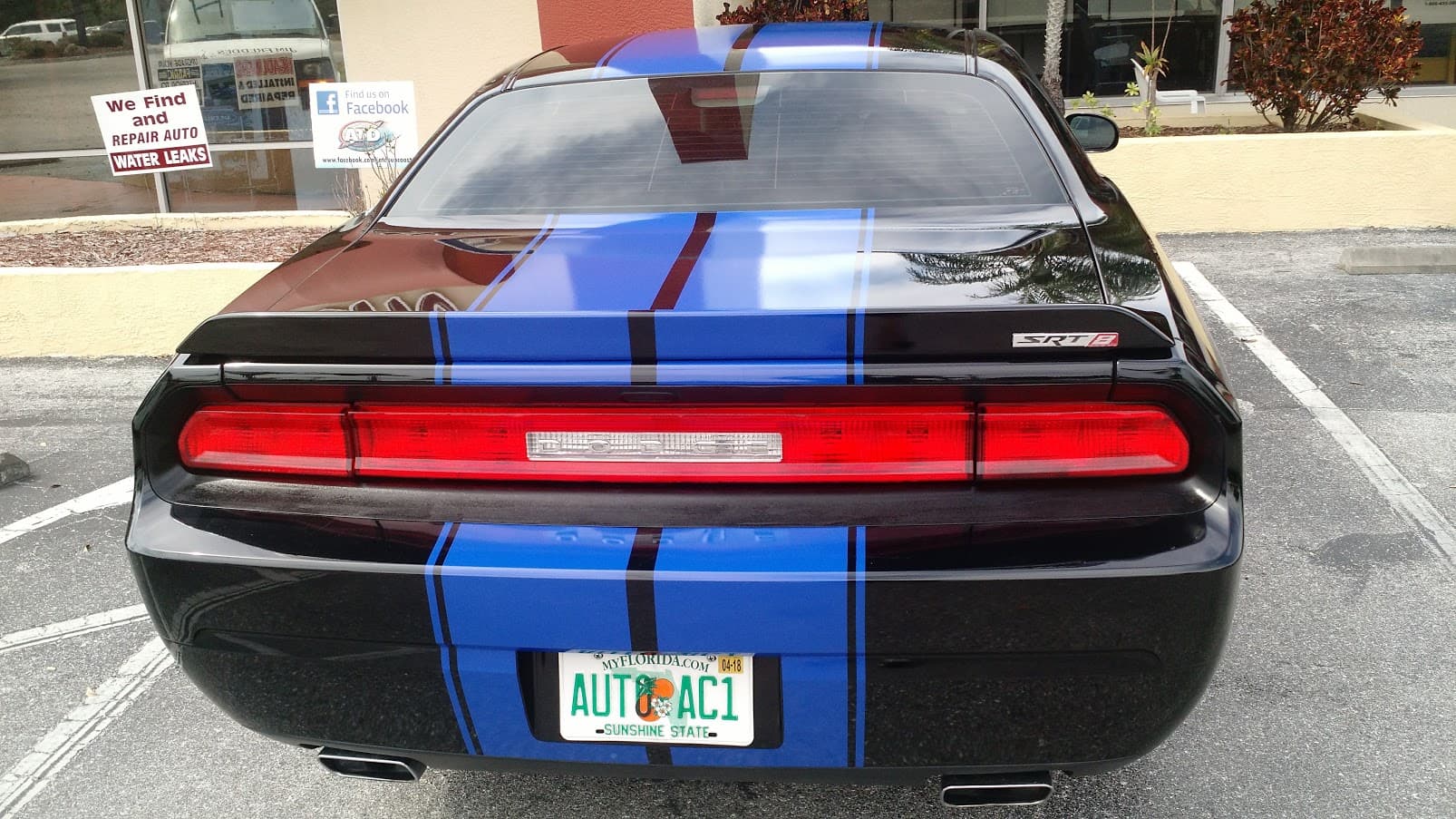 Custom vinyl graphics on custom vehicle by ATD Suncoast