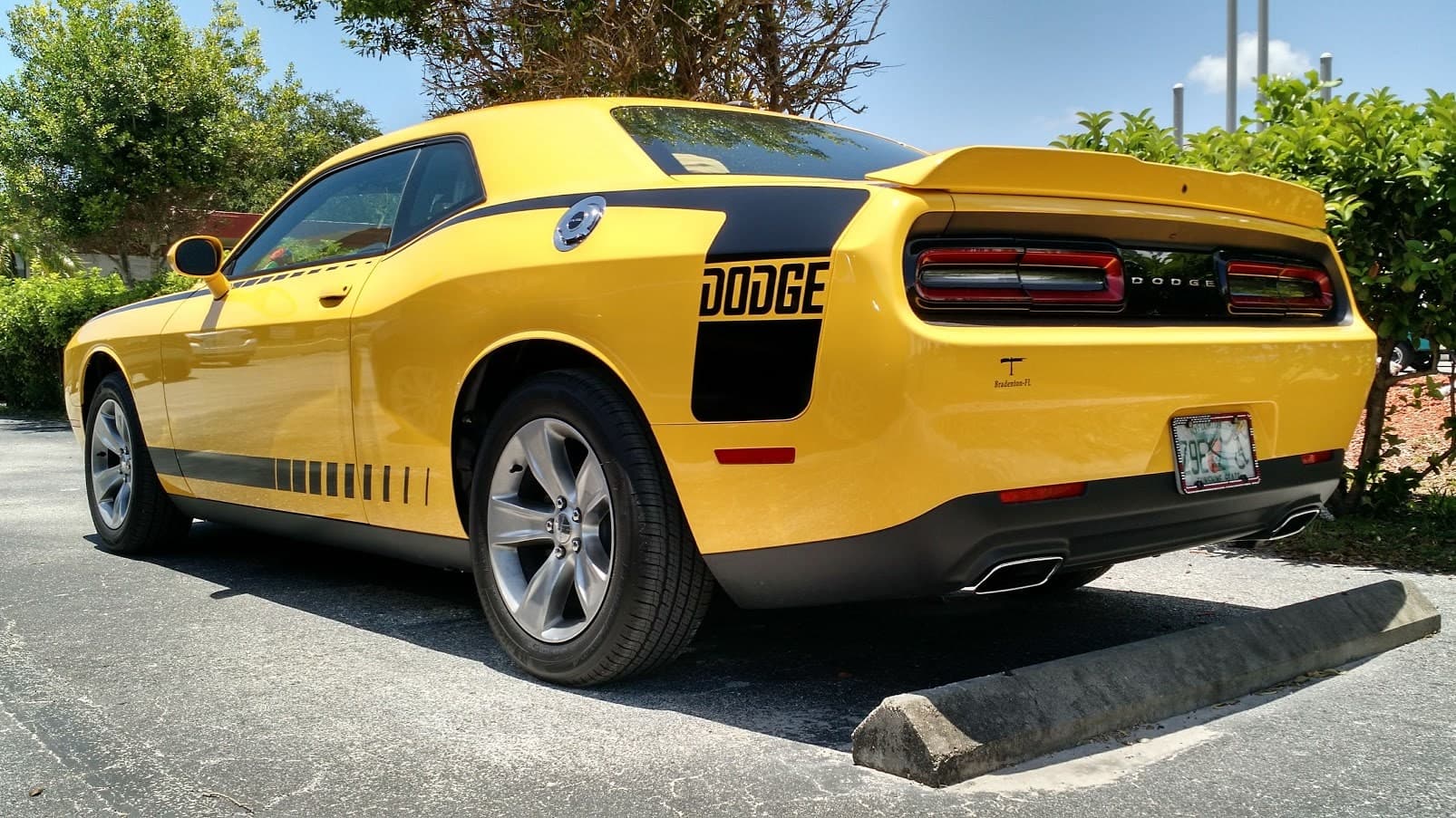 Custom vinyl graphics on custom vehicle by ATD Suncoast
