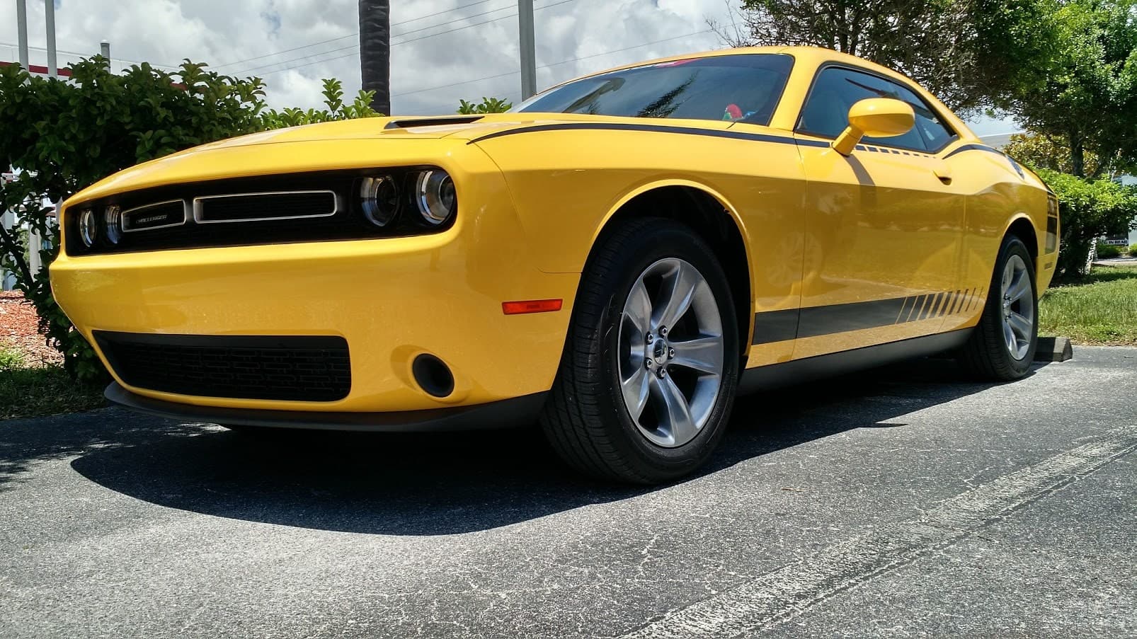 Custom vinyl graphics on custom vehicle by ATD Suncoast