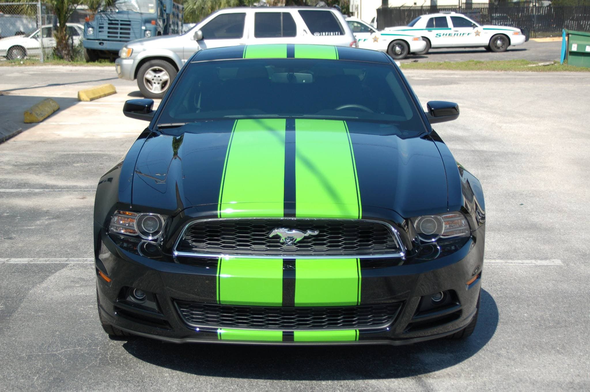 Custom vinyl graphics on custom vehicle by ATD Suncoast