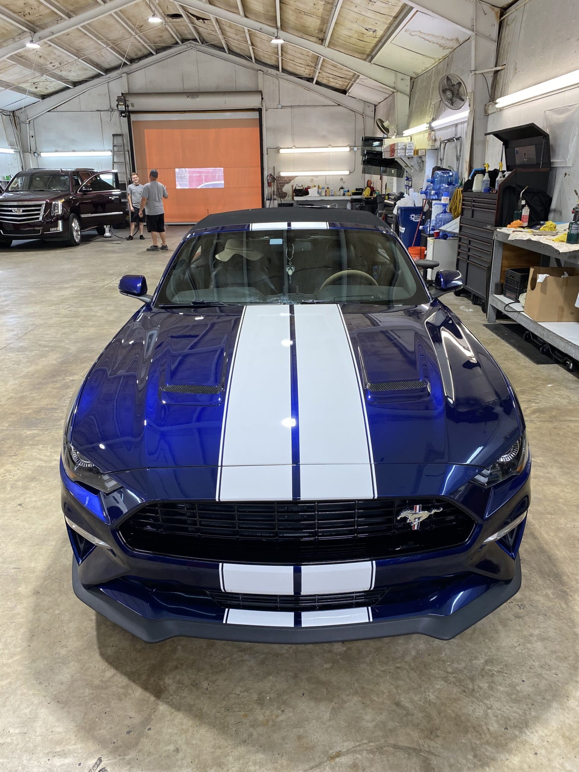 Custom vinyl graphics on custom vehicle by ATD Suncoast