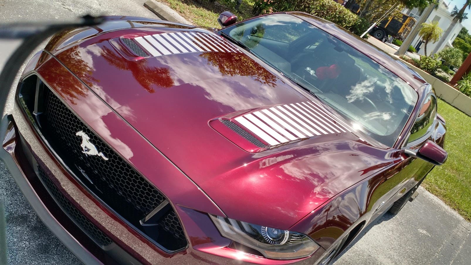 Custom vinyl graphics on custom vehicle by ATD Suncoast