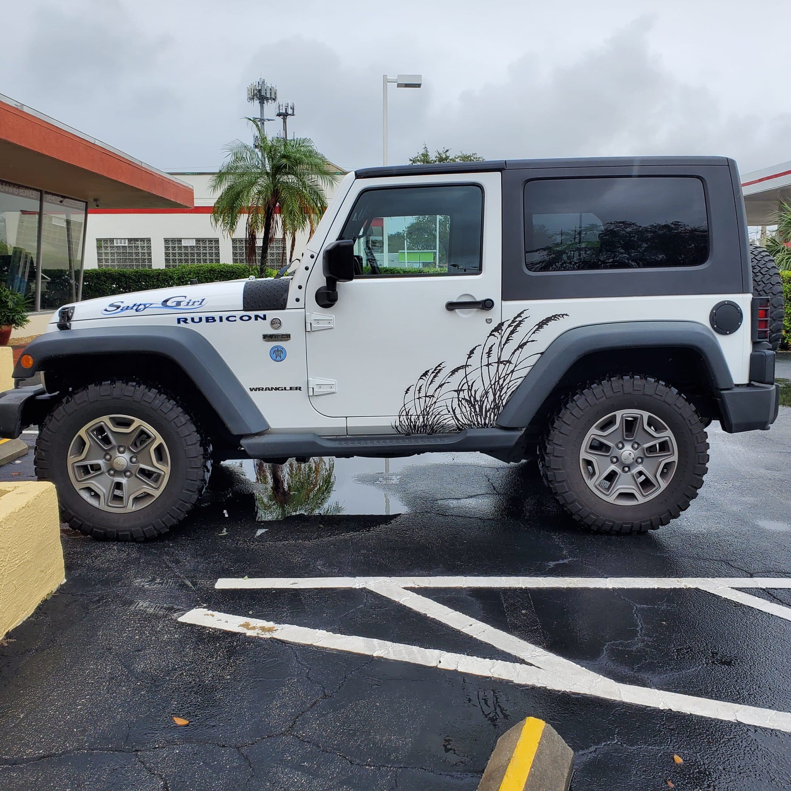 Custom vinyl graphics on custom vehicle by ATD Suncoast