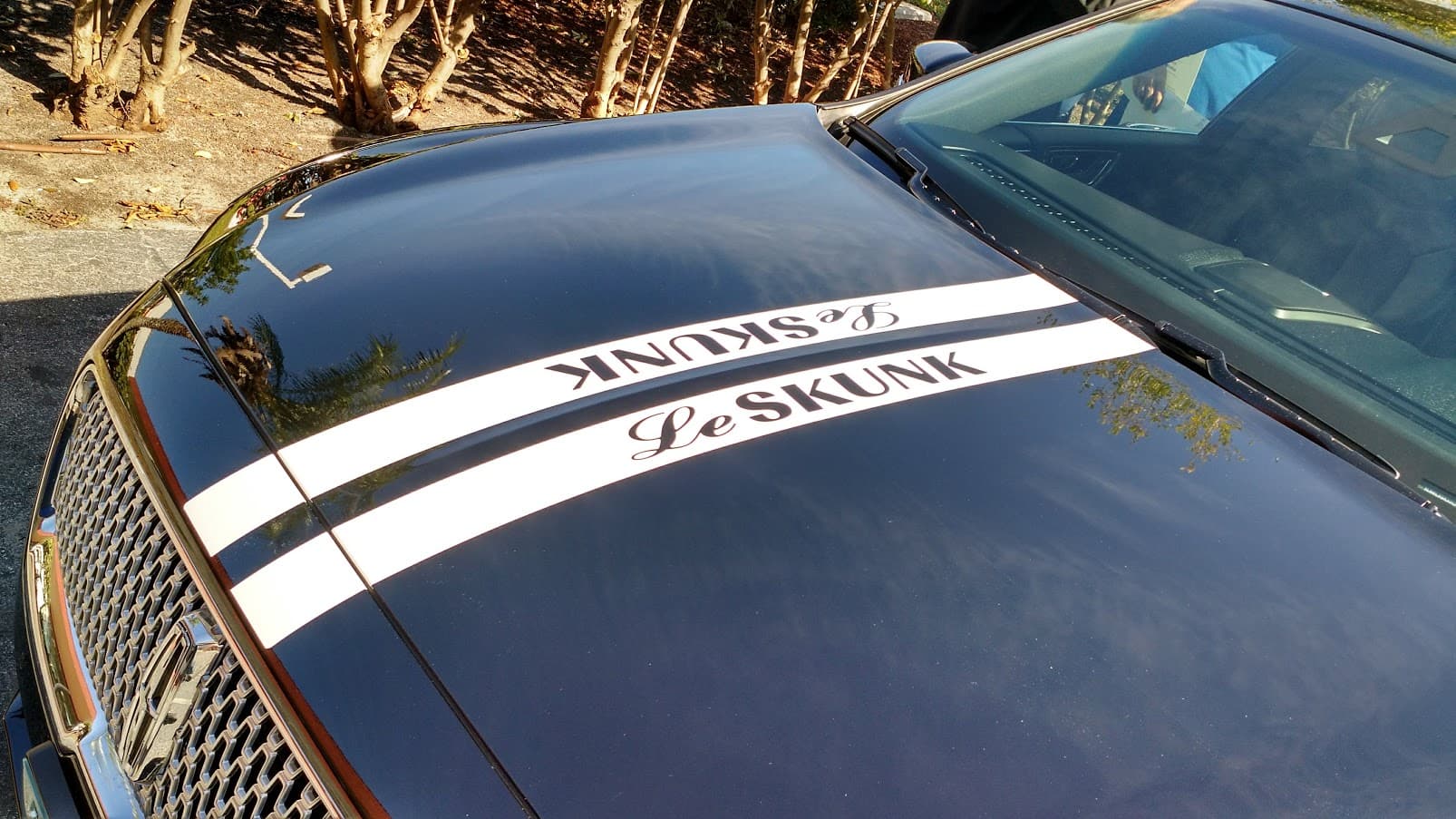 Custom vinyl graphics on custom vehicle by ATD Suncoast