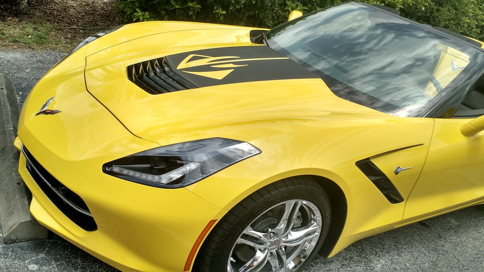Custom vinyl graphics on custom vehicle by ATD Suncoast