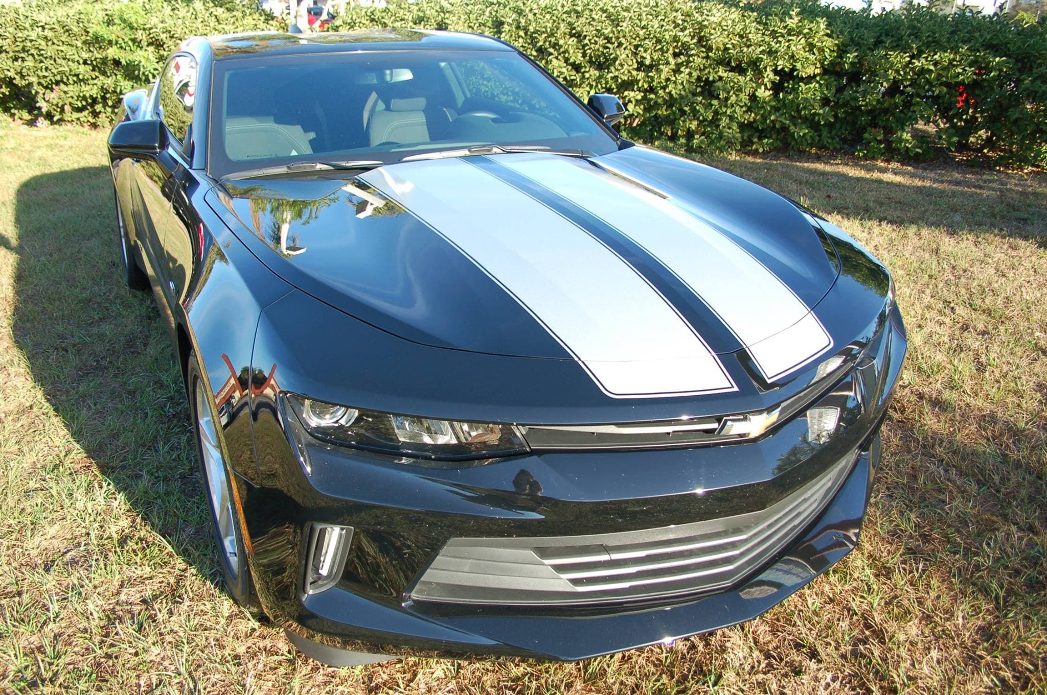 Custom vinyl graphics on custom vehicle by ATD Suncoast