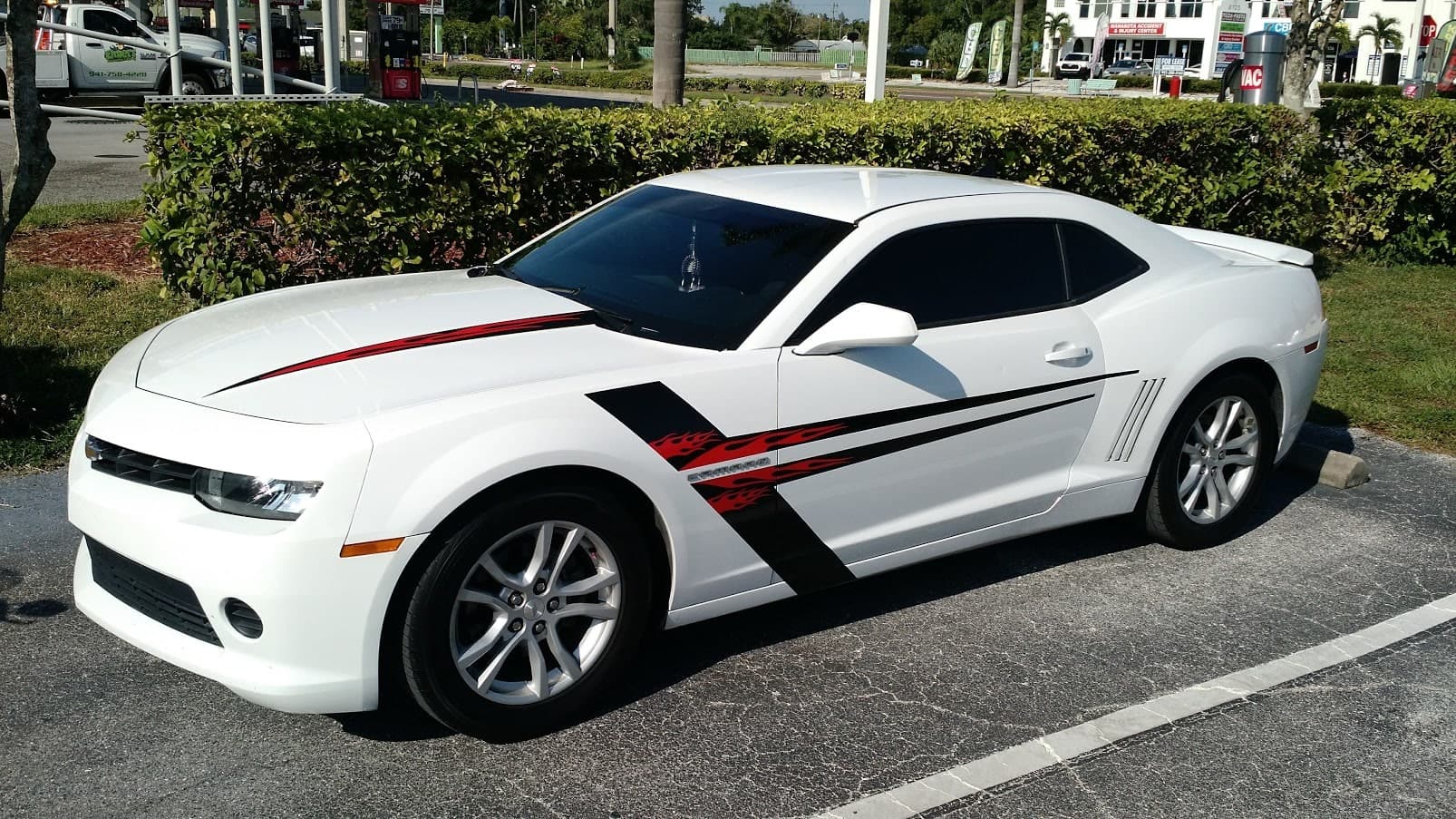 Custom vinyl graphics on custom vehicle by ATD Suncoast