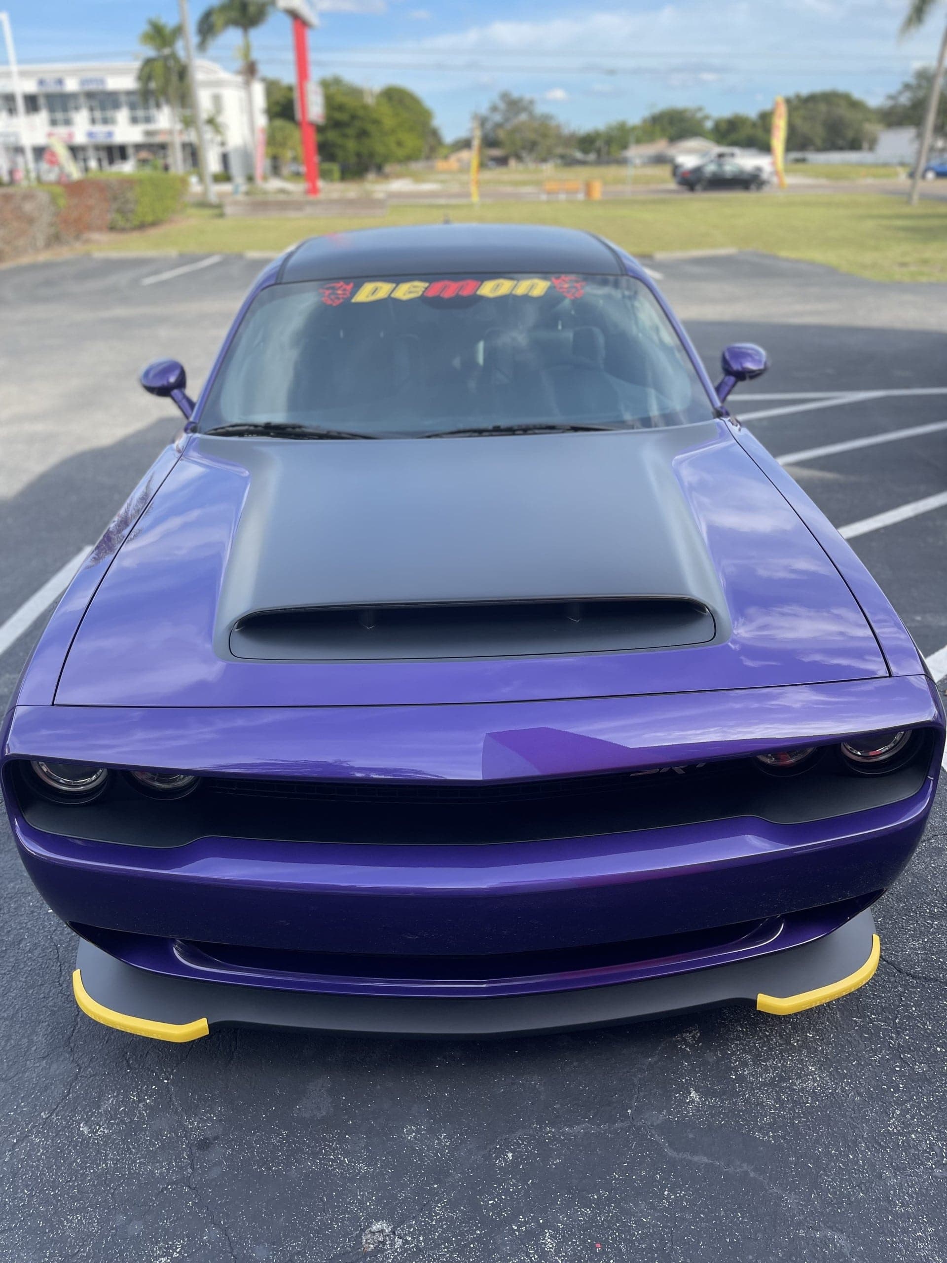 Custom vinyl graphics on custom vehicle by ATD Suncoast