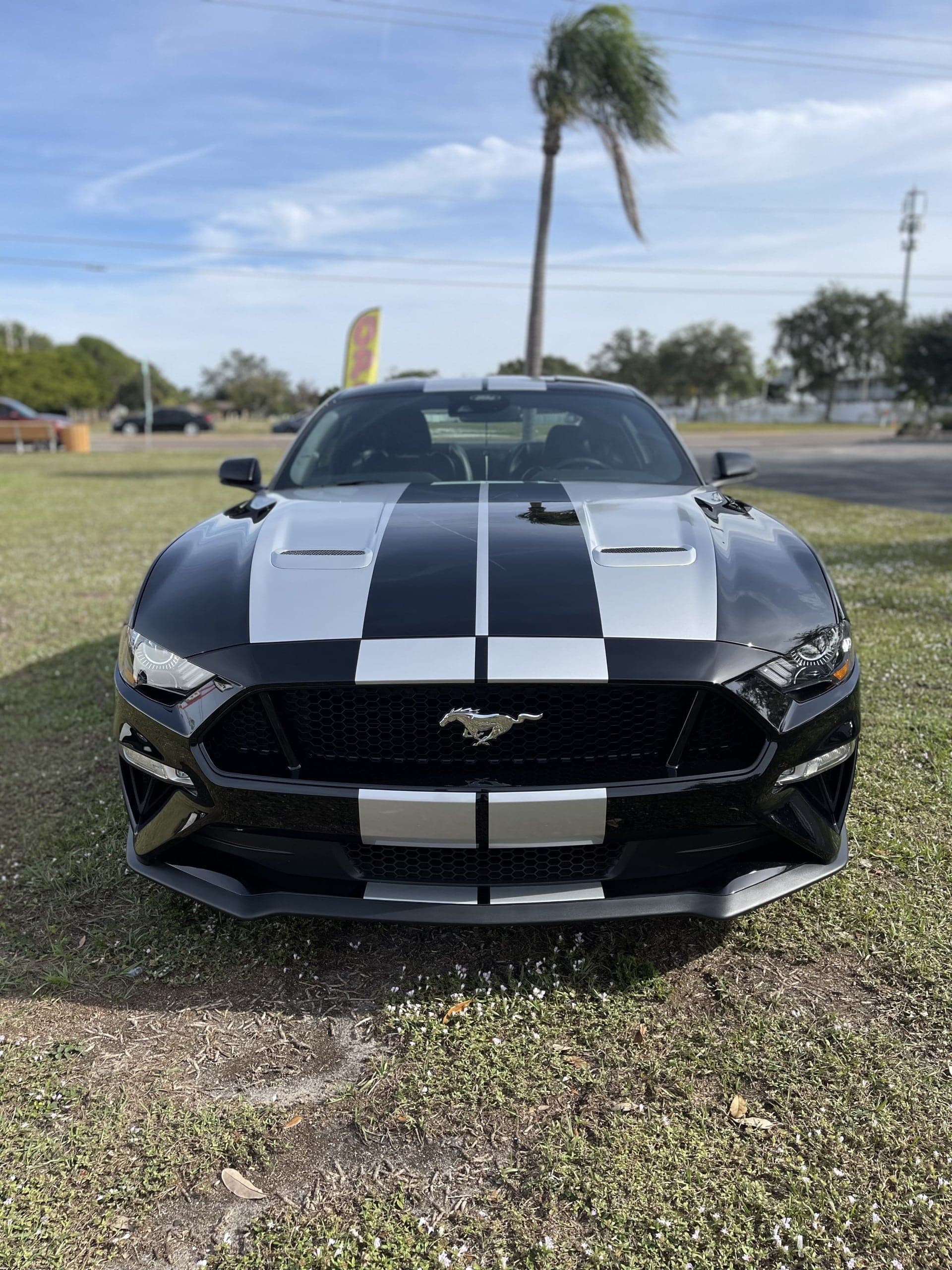 Custom vinyl graphics on custom vehicle by ATD Suncoast