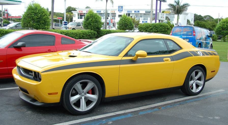 Custom vinyl graphics on custom vehicle by ATD Suncoast