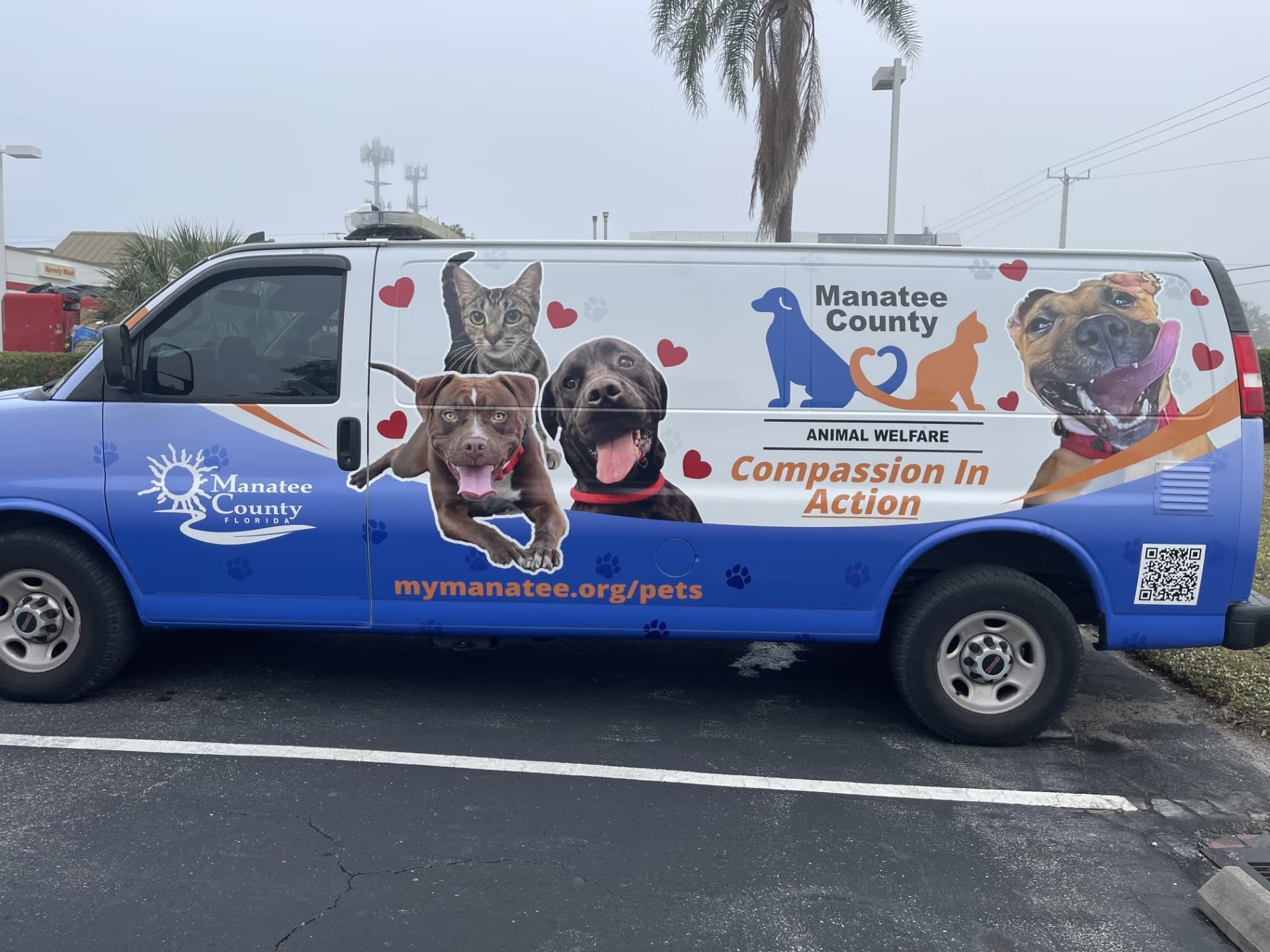 Vehicle wrap custom wrap by Auto Trim Design Bradenton