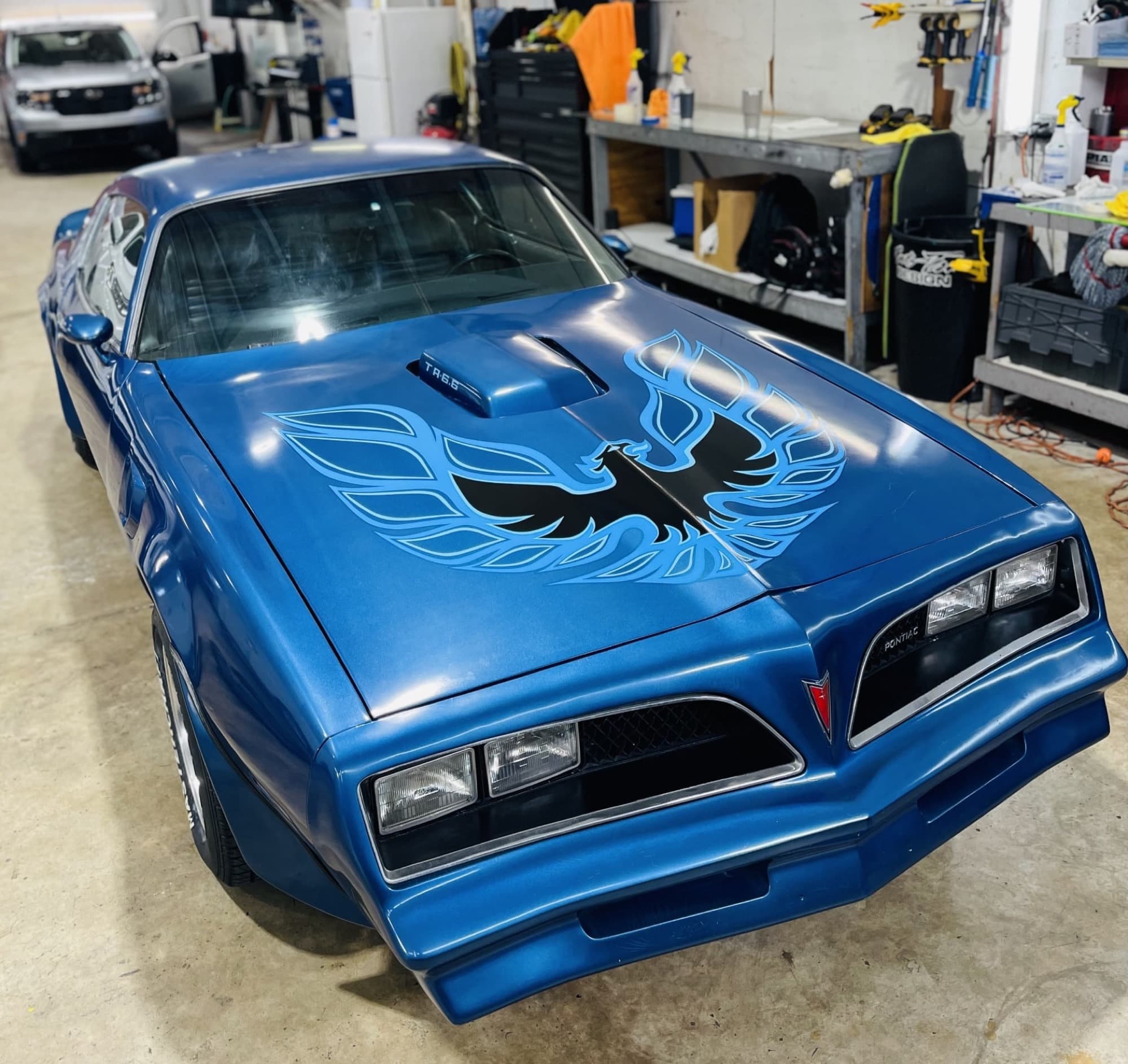 Blue Pontiac Trans Am Firebird hood decal by Auto Trim Design